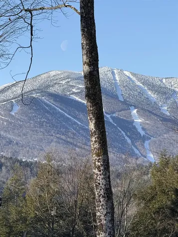 109 Highland Drive Warren VT 05674