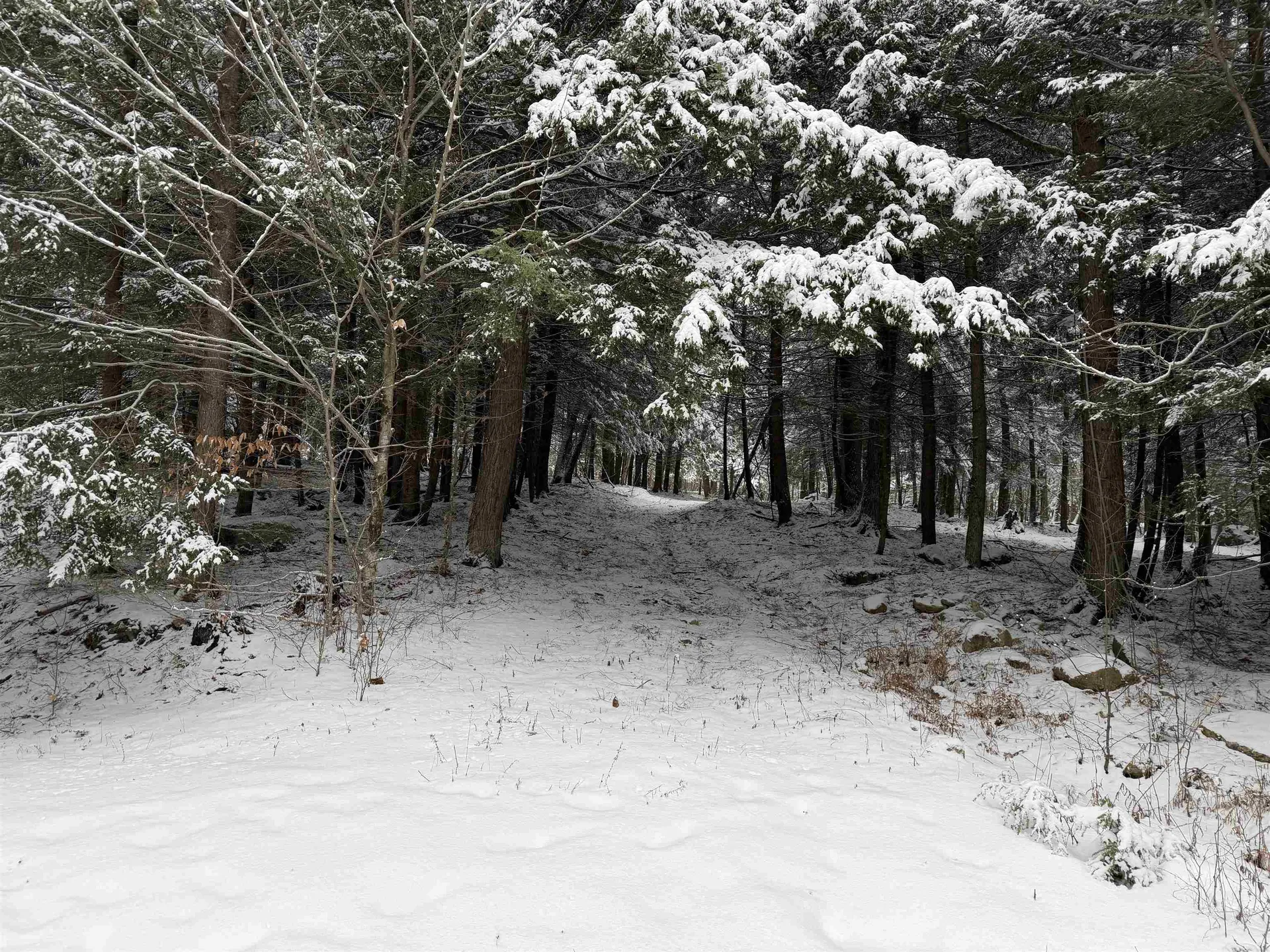 441 W Unity Road Claremont NH 03743