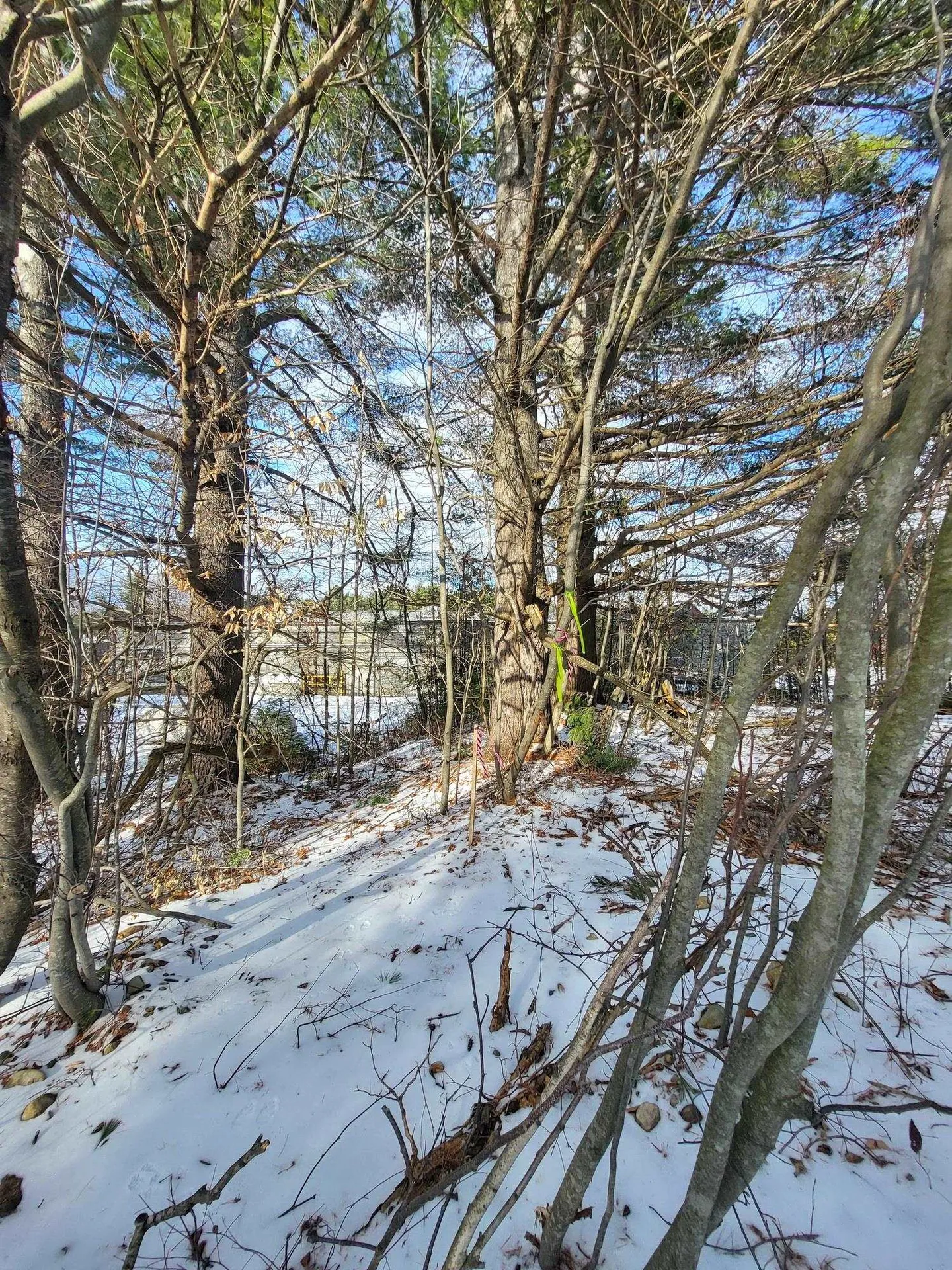 Tbd Little River Road Carroll NH 03595