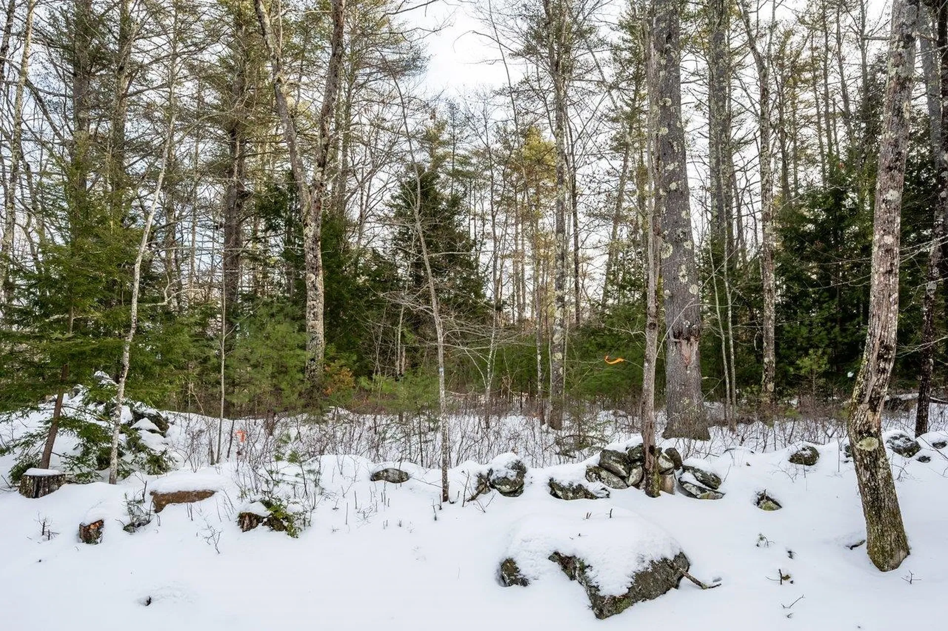 M 219 L 43-1 Greenhill Road Barrington NH 03825