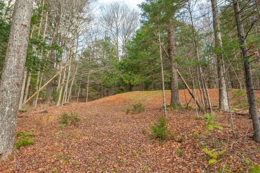 68 East Brook Crossing Wilmington VT 05363