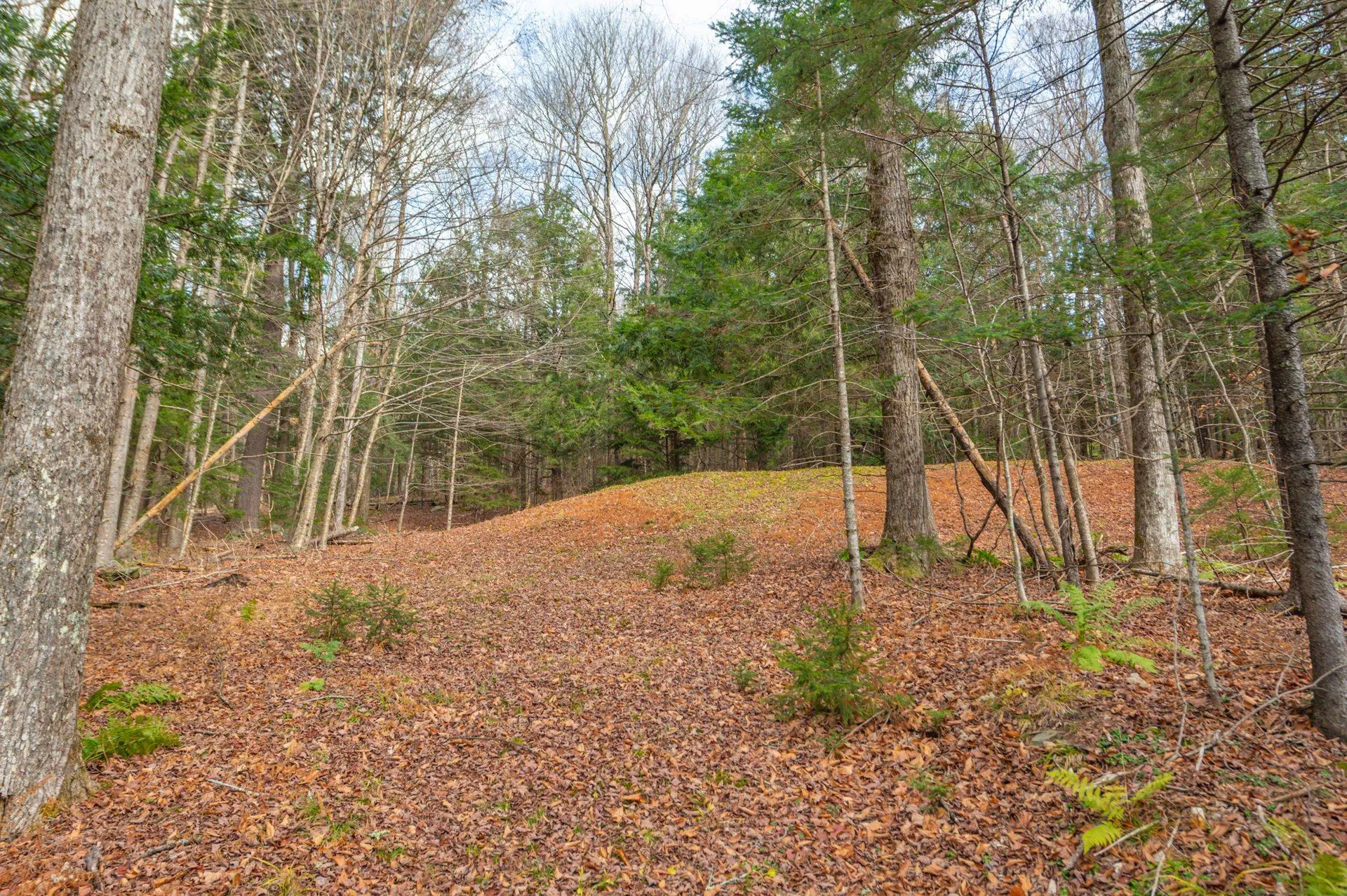 68 East Brook Crossing Wilmington VT 05363