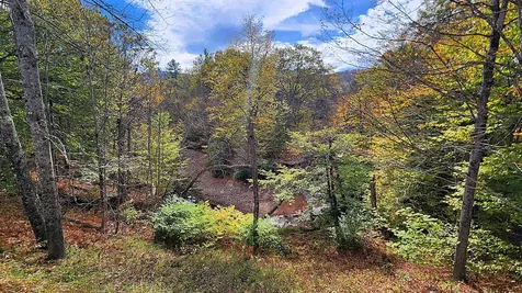 1397 Popple Dungeon Road Chester VT 05143