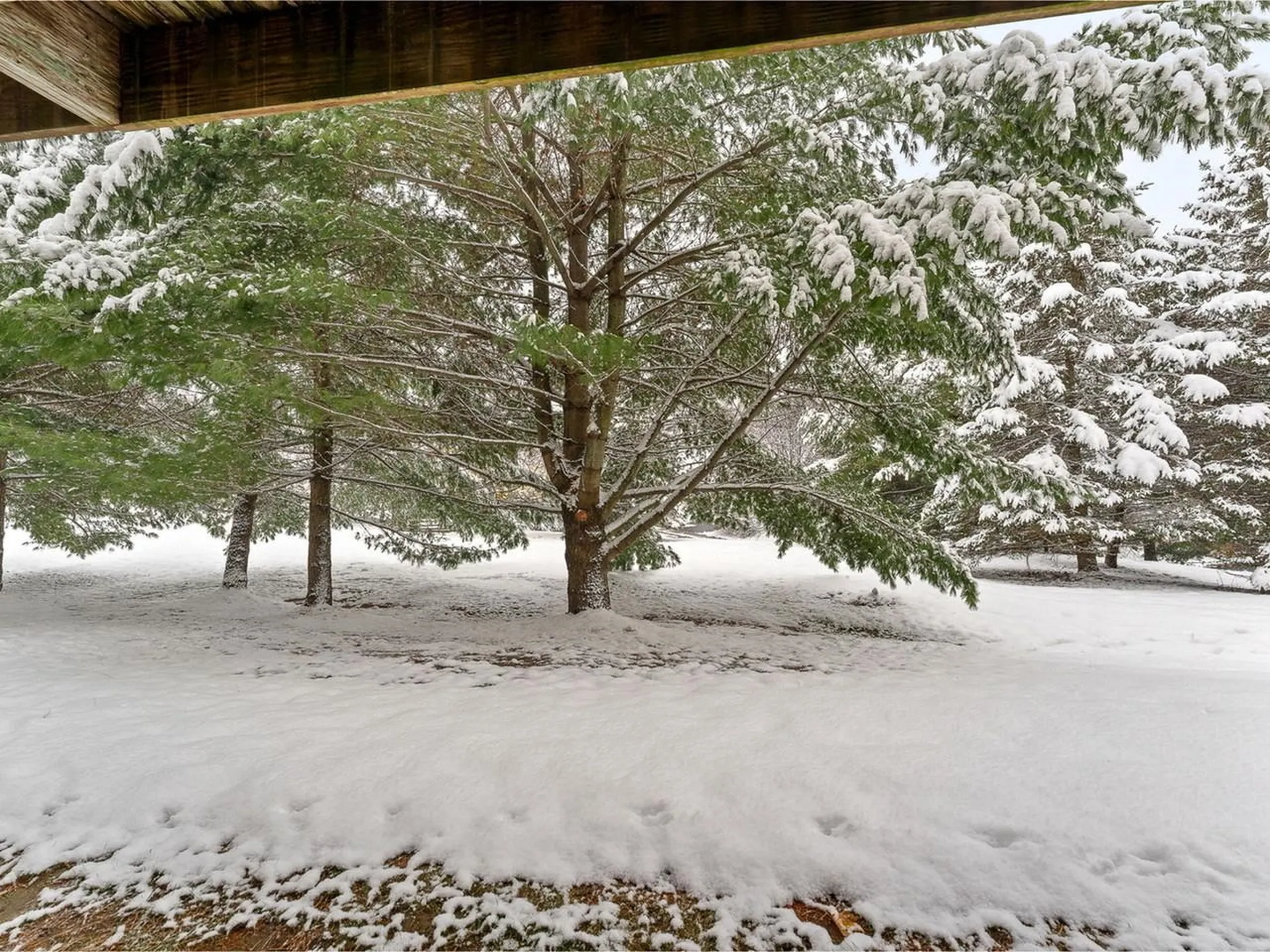 154 Juniper Drive South Burlington VT 05403