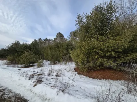 Lot 8 Strawbrook Lane Canaan NH 03741