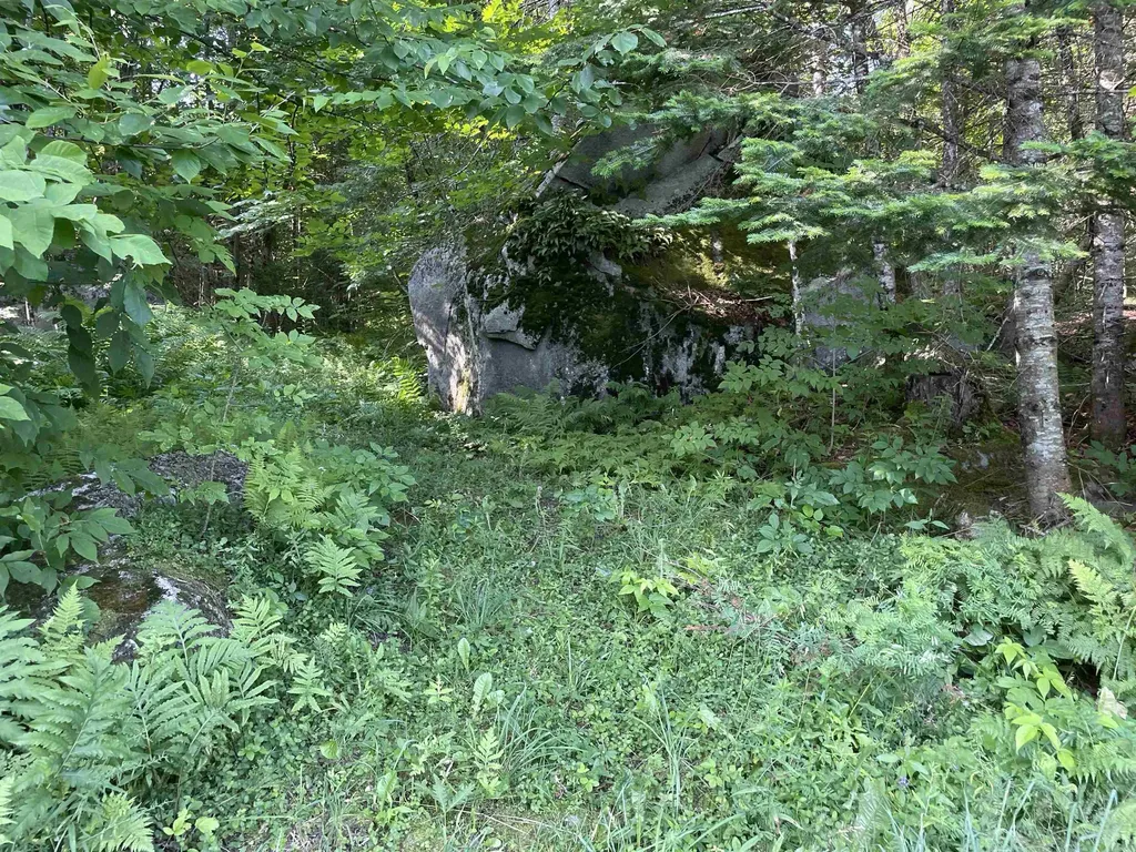 1422 Cabot Road Woodbury VT 05681
