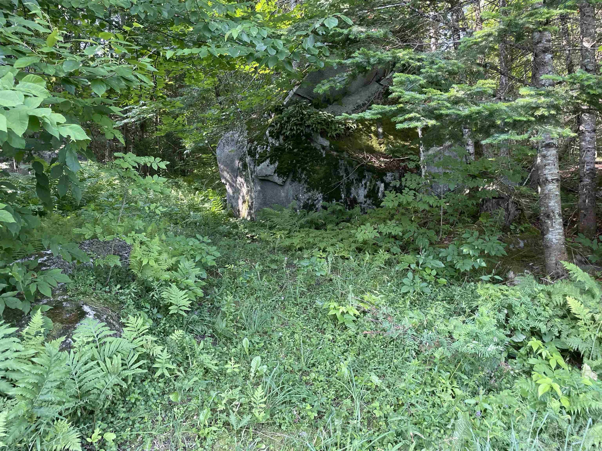 1422 Cabot Road Woodbury VT 05681