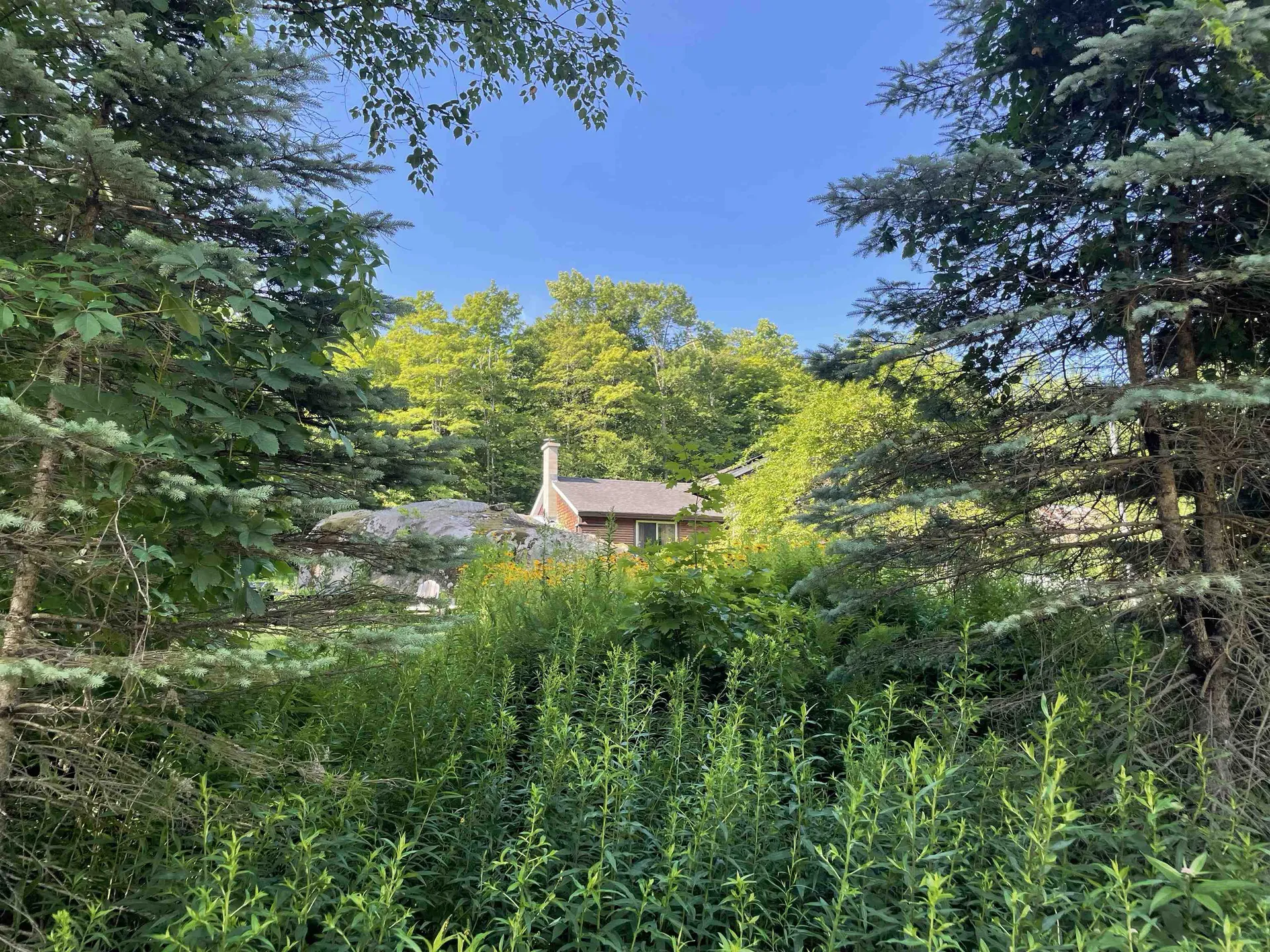 1422 Cabot Road Woodbury VT 05681