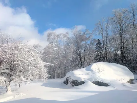 1422 Cabot Road Woodbury VT 05681