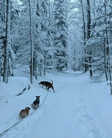 1422 Cabot Road Woodbury VT 05681