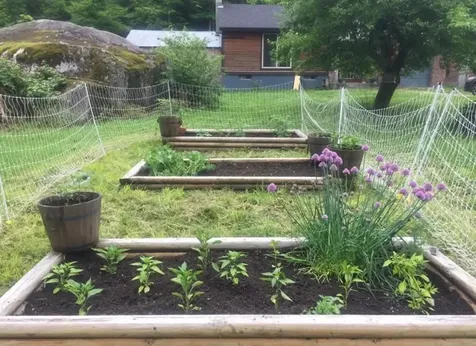 1422 Cabot Road Woodbury VT 05681