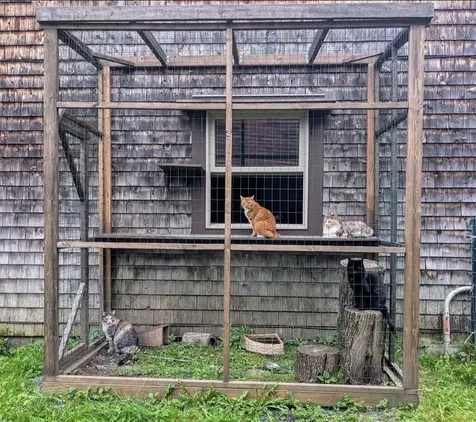 1422 Cabot Road Woodbury VT 05681