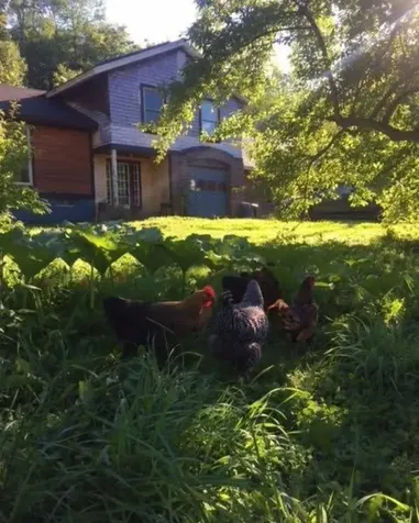 1422 Cabot Road Woodbury VT 05681