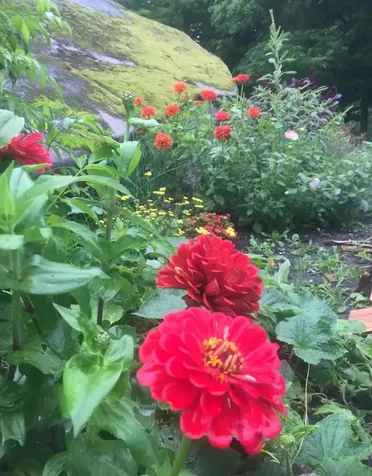 1422 Cabot Road Woodbury VT 05681