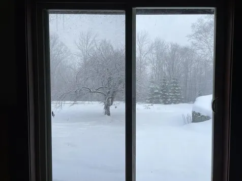 1422 Cabot Road Woodbury VT 05681