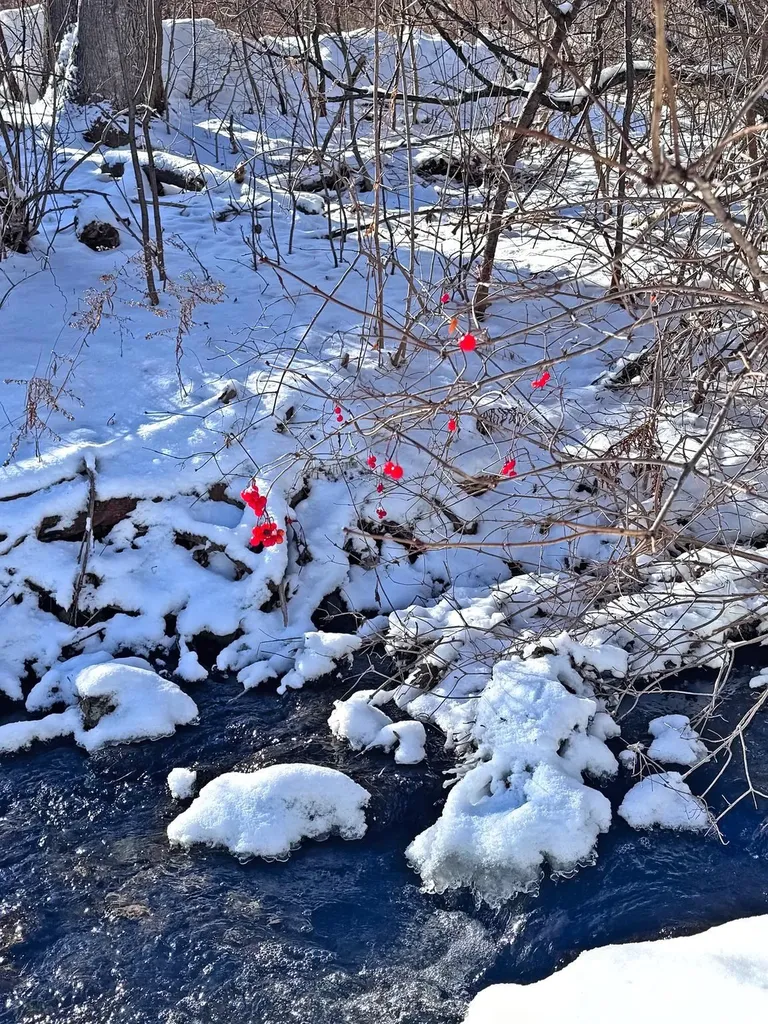 341 Dewey Street Bennington VT 05201