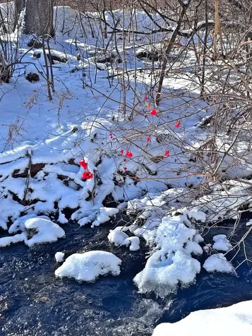 341 Dewey Street Bennington VT 05201