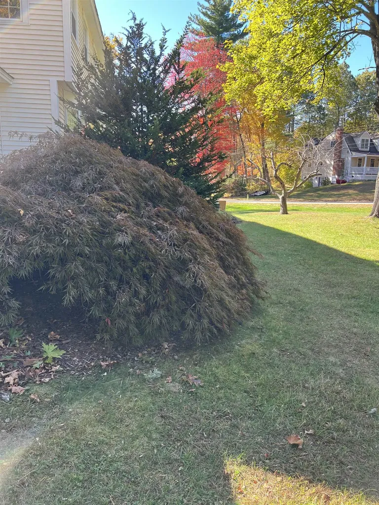 7 Birchwood Drive Derry NH 03038