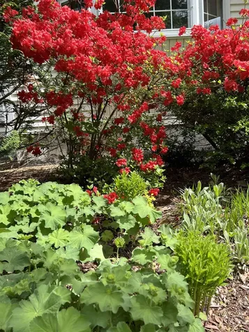 7 Birchwood Drive Derry NH 03038