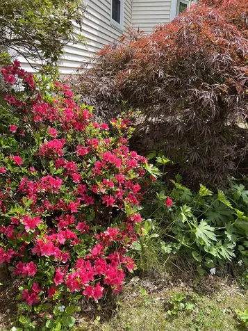 7 Birchwood Drive Derry NH 03038