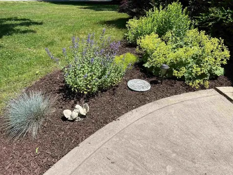 7 Birchwood Drive Derry NH 03038