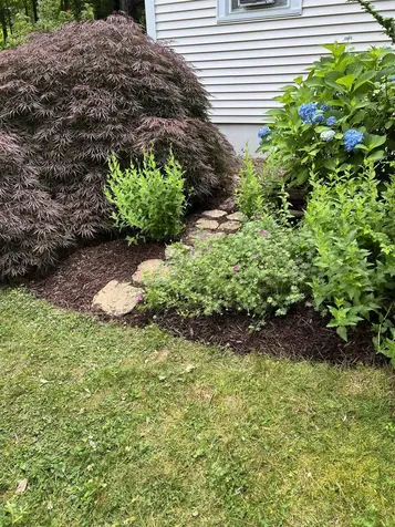 7 Birchwood Drive Derry NH 03038