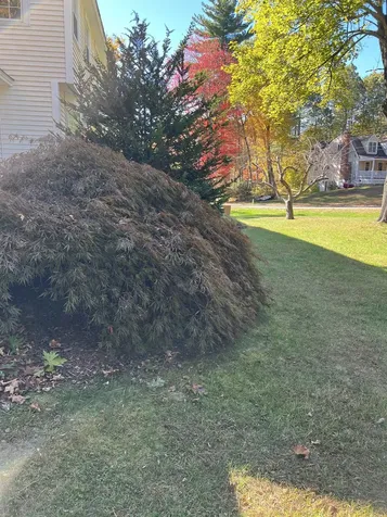 7 Birchwood Drive Derry NH 03038