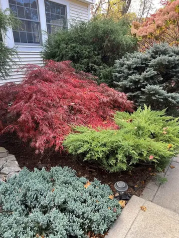 7 Birchwood Drive Derry NH 03038