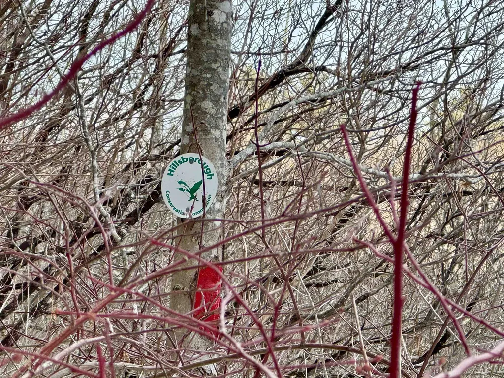 Map 9 Lot 87 Mary Rowe Drive Hillsborough NH 03244