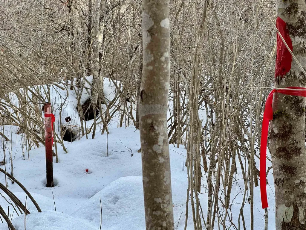 Map 9 Lot 87 Mary Rowe Drive Hillsborough NH 03244