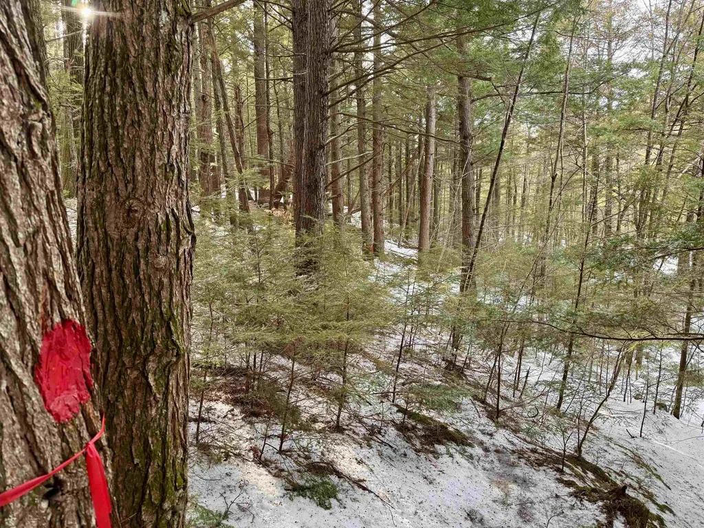 Map 9 Lot 87 Mary Rowe Drive Hillsborough NH 03244