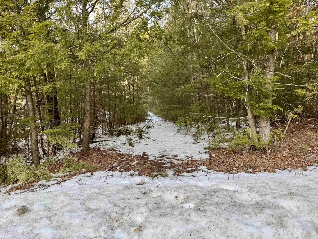 Map 9 Lot 87 Mary Rowe Drive Hillsborough NH 03244