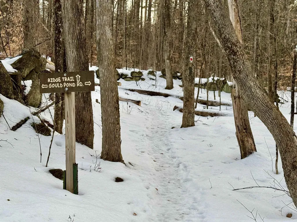 Map 9 Lot 87 Mary Rowe Drive Hillsborough NH 03244