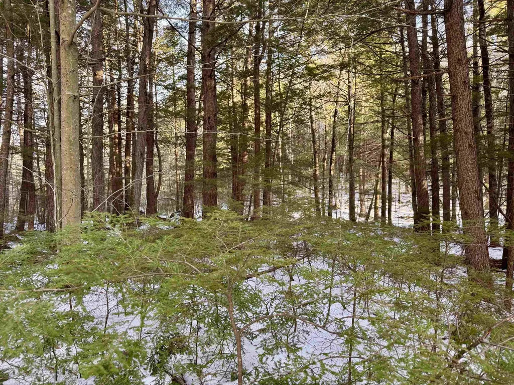 Map 9 Lot 87 Mary Rowe Drive Hillsborough NH 03244