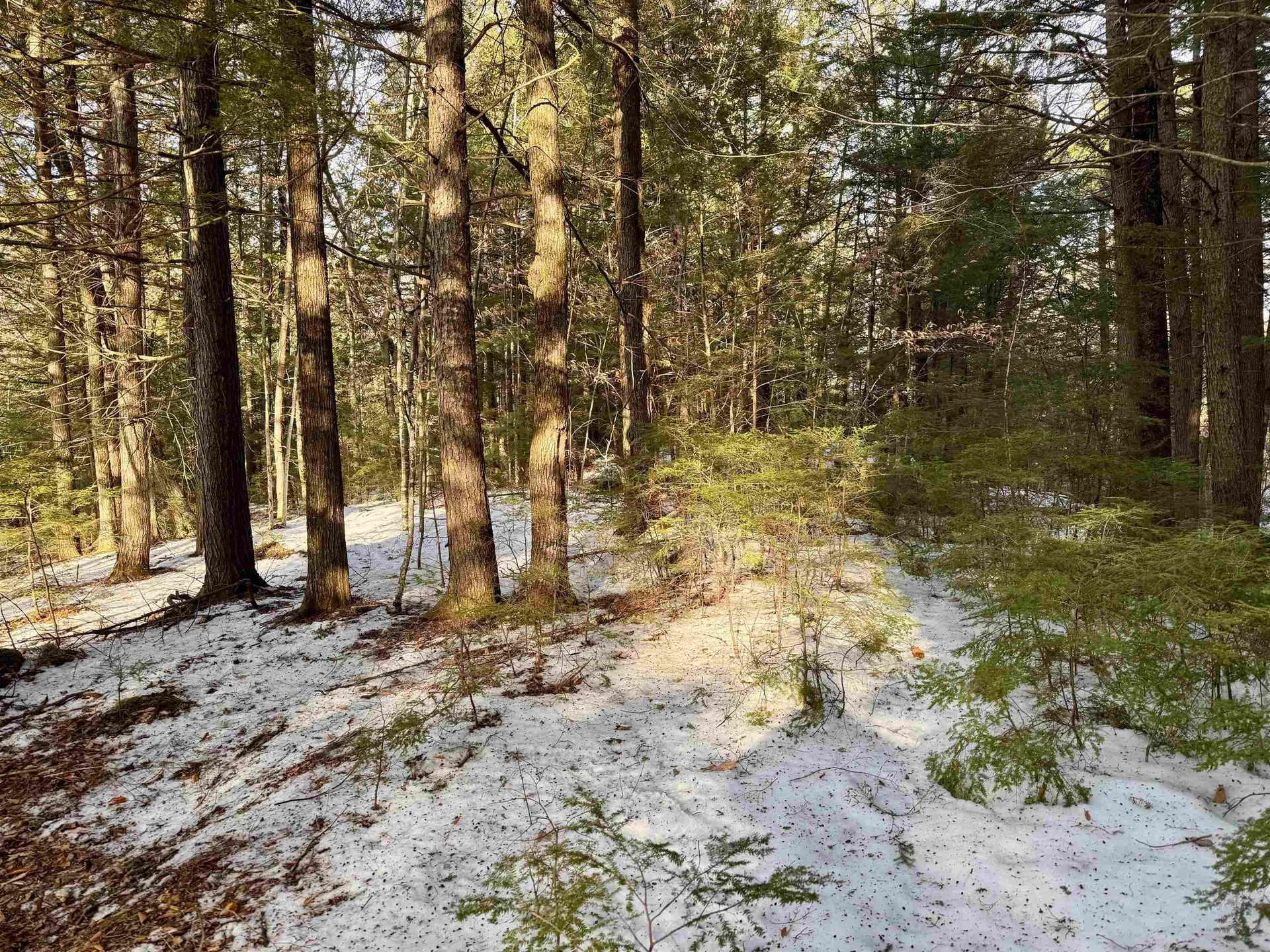 Map 9 Lot 87 Mary Rowe Drive Hillsborough NH 03244