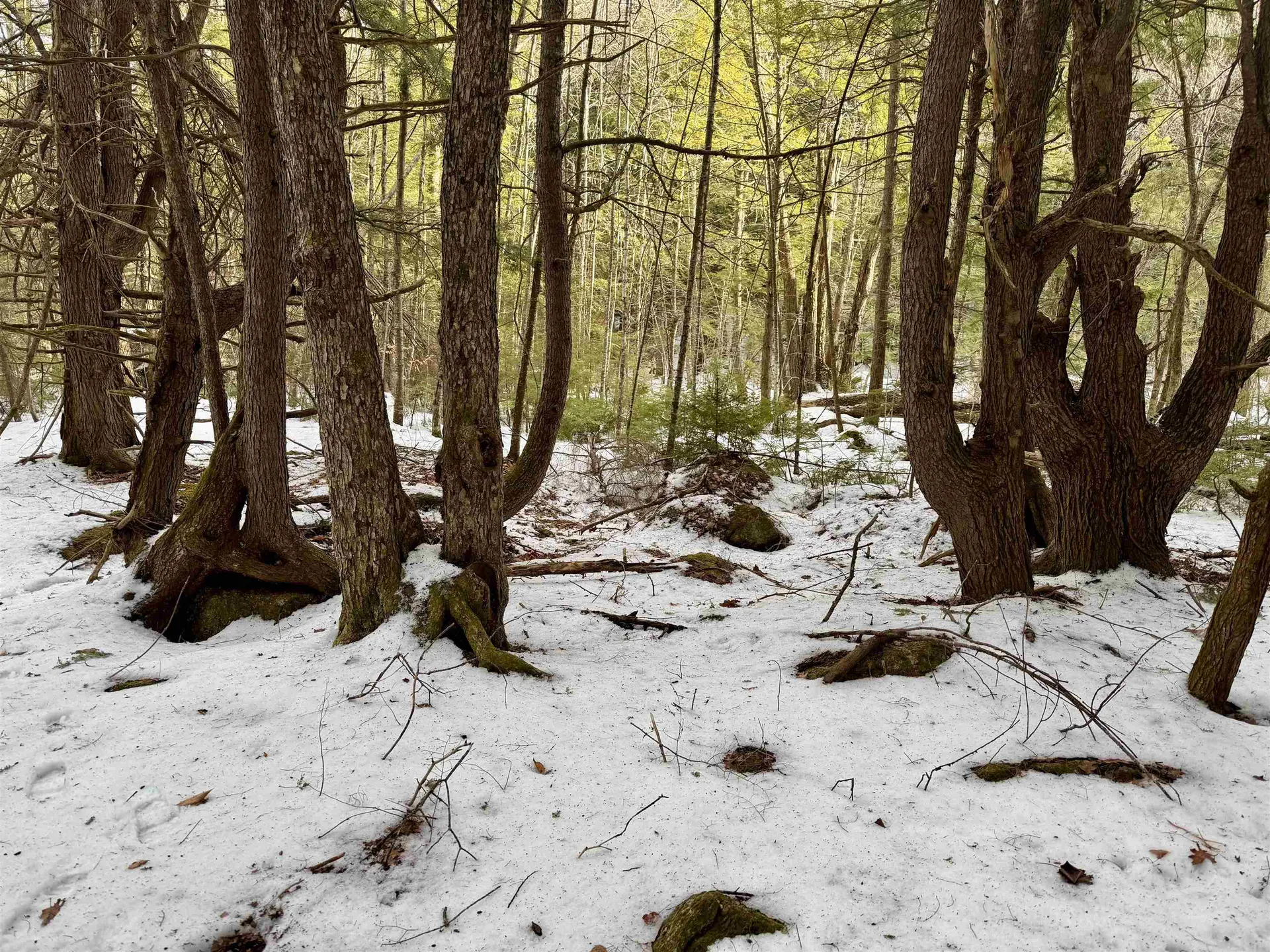 Map 9 Lot 87 Mary Rowe Drive Hillsborough NH 03244