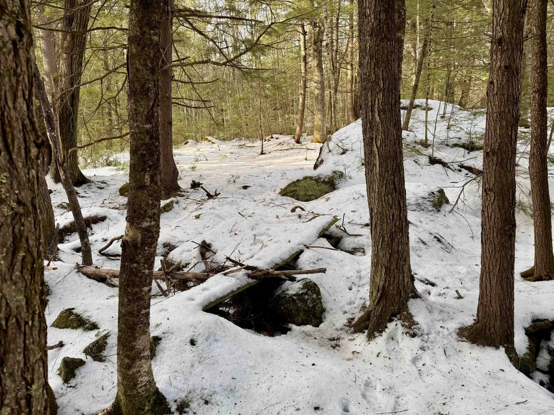 Map 9 Lot 87 Mary Rowe Drive Hillsborough NH 03244