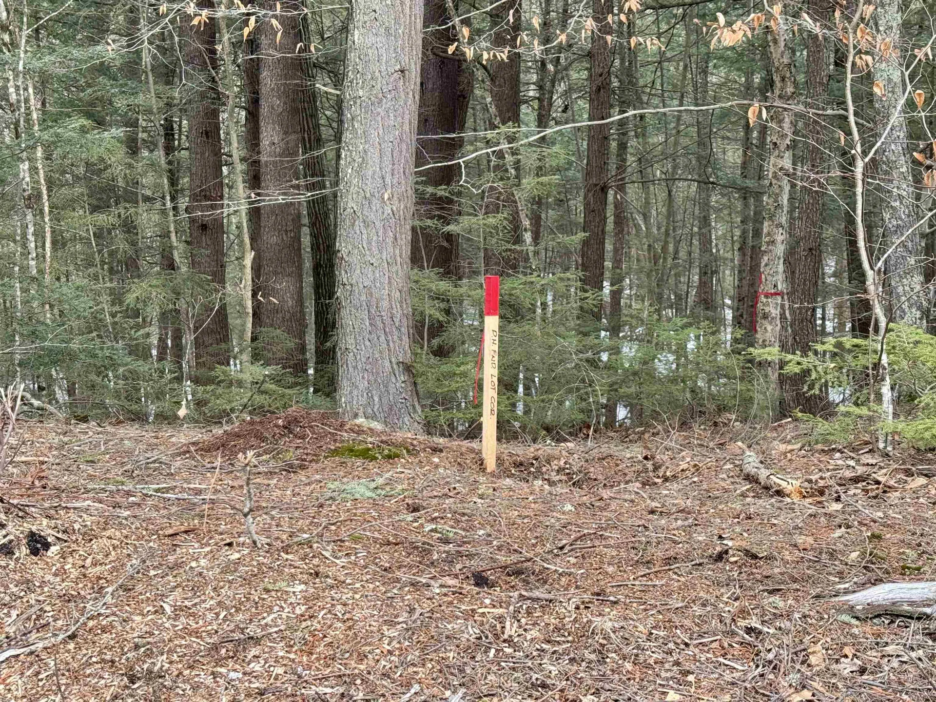 Map 9 Lot 87 Mary Rowe Drive Hillsborough NH 03244