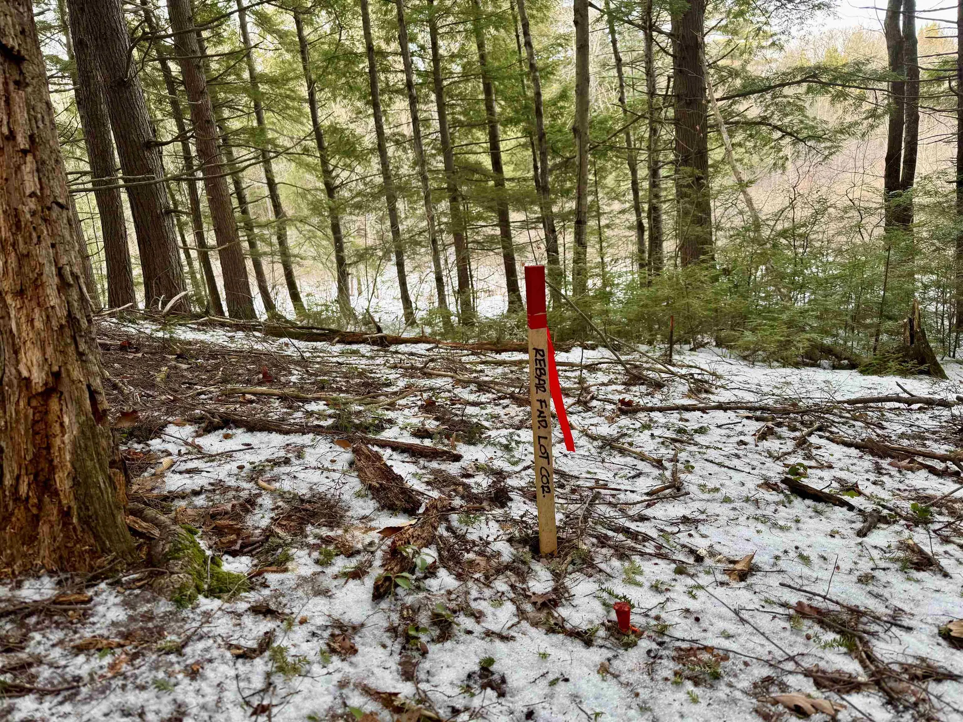 Map 9 Lot 87 Mary Rowe Drive Hillsborough NH 03244