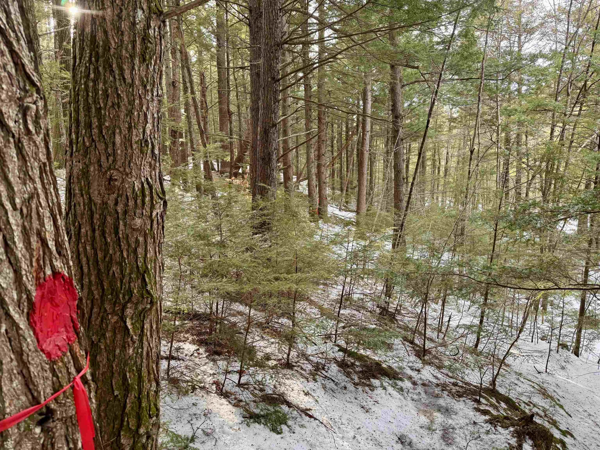 Map 9 Lot 87 Mary Rowe Drive Hillsborough NH 03244