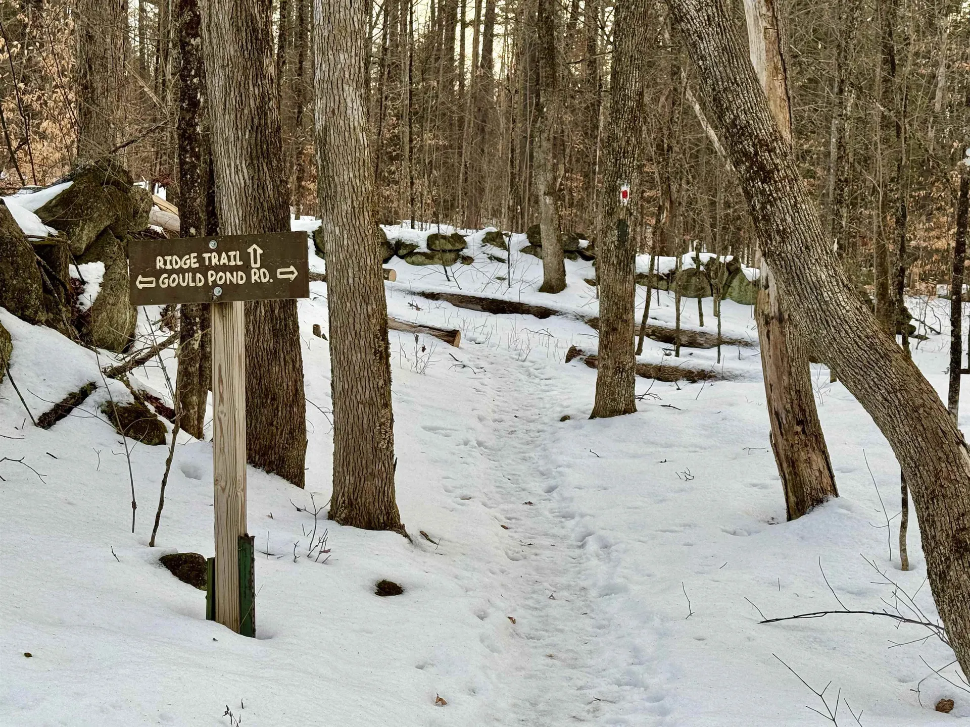 Map 9 Lot 87 Mary Rowe Drive Hillsborough NH 03244