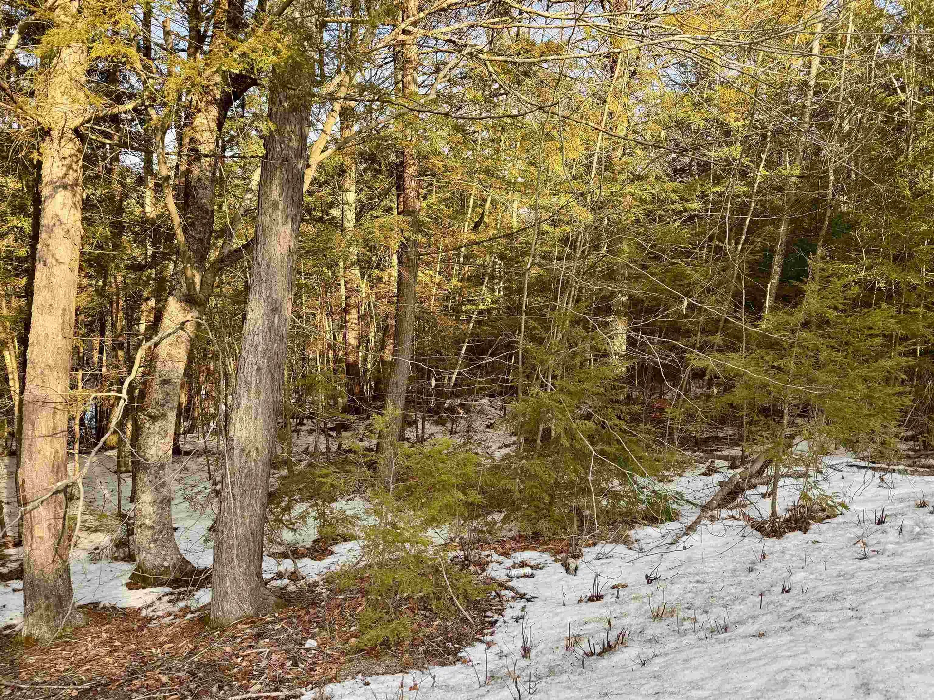 Map 9 Lot 87 Mary Rowe Drive Hillsborough NH 03244