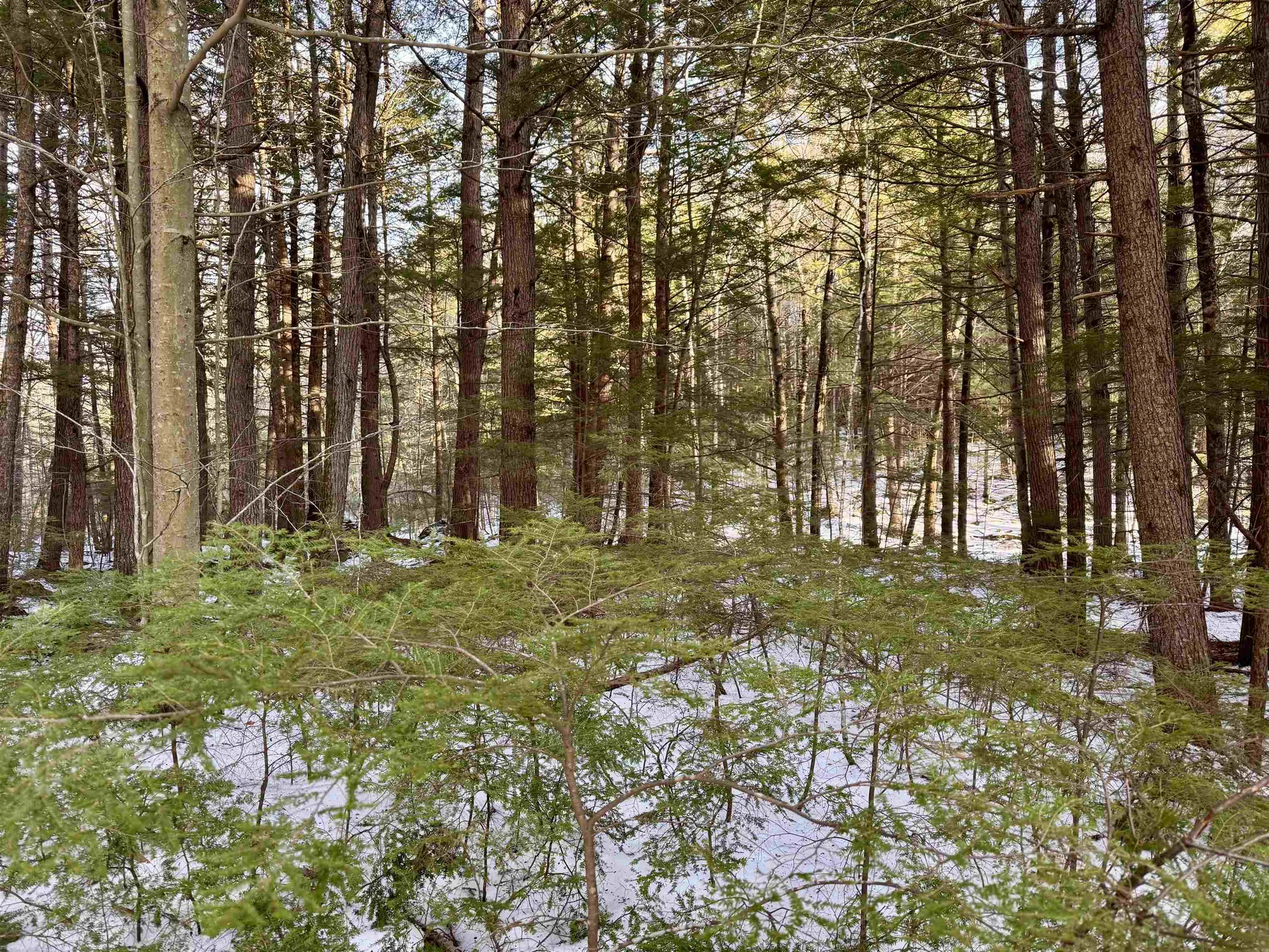 Map 9 Lot 87 Mary Rowe Drive Hillsborough NH 03244