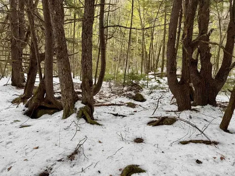 Map 9 Lot 87 Mary Rowe Drive Hillsborough NH 03244