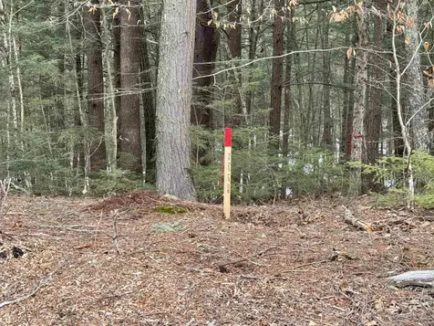 Map 9 Lot 87 Mary Rowe Drive Hillsborough NH 03244