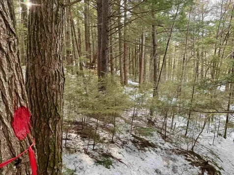 Map 9 Lot 87 Mary Rowe Drive Hillsborough NH 03244