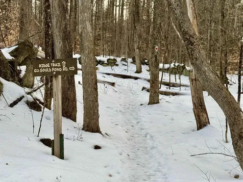 Map 9 Lot 87 Mary Rowe Drive Hillsborough NH 03244