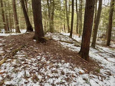 Map 9 Lot 87 Mary Rowe Drive Hillsborough NH 03244