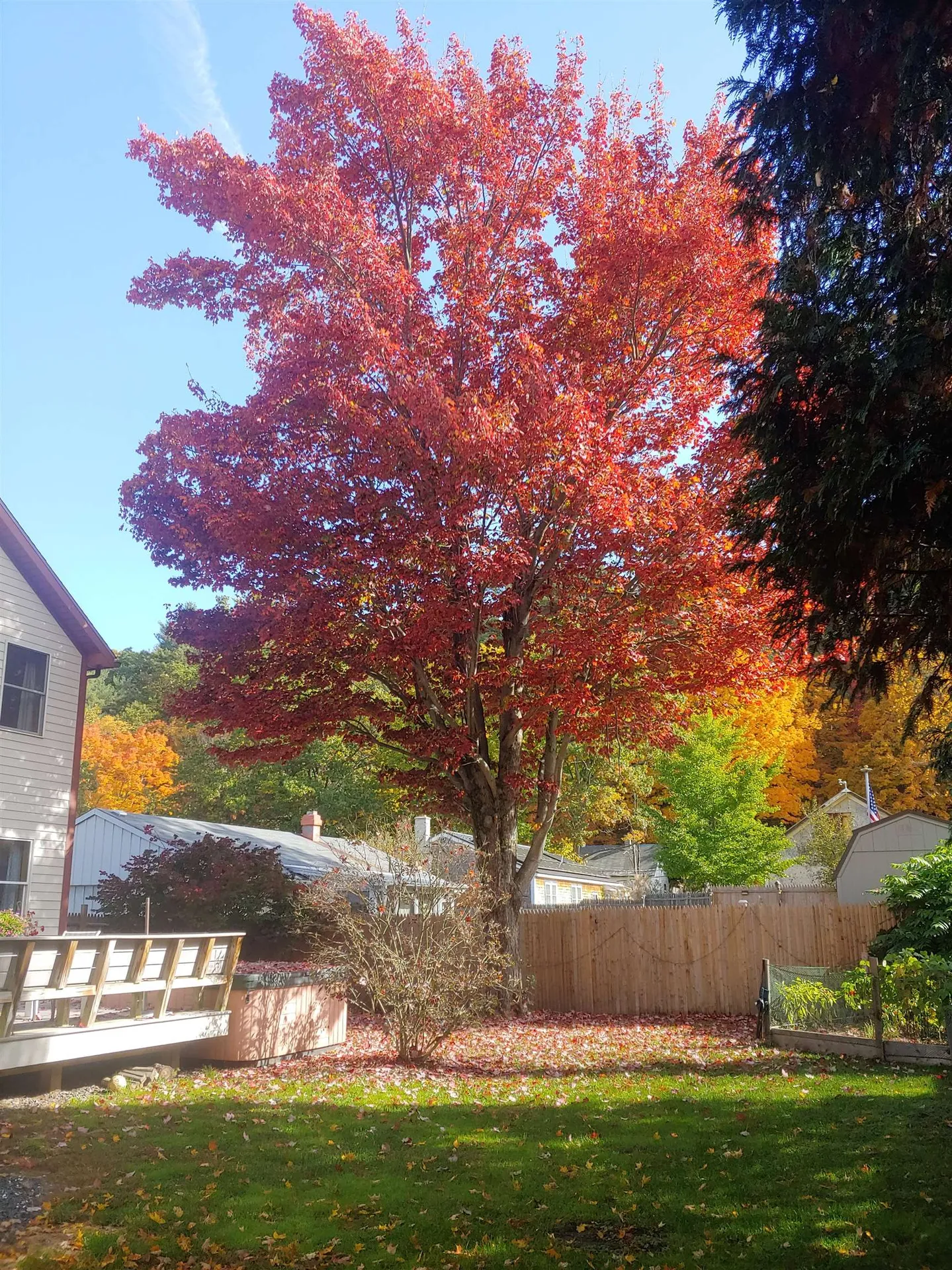 24 Laurel Street Brattleboro VT 05301