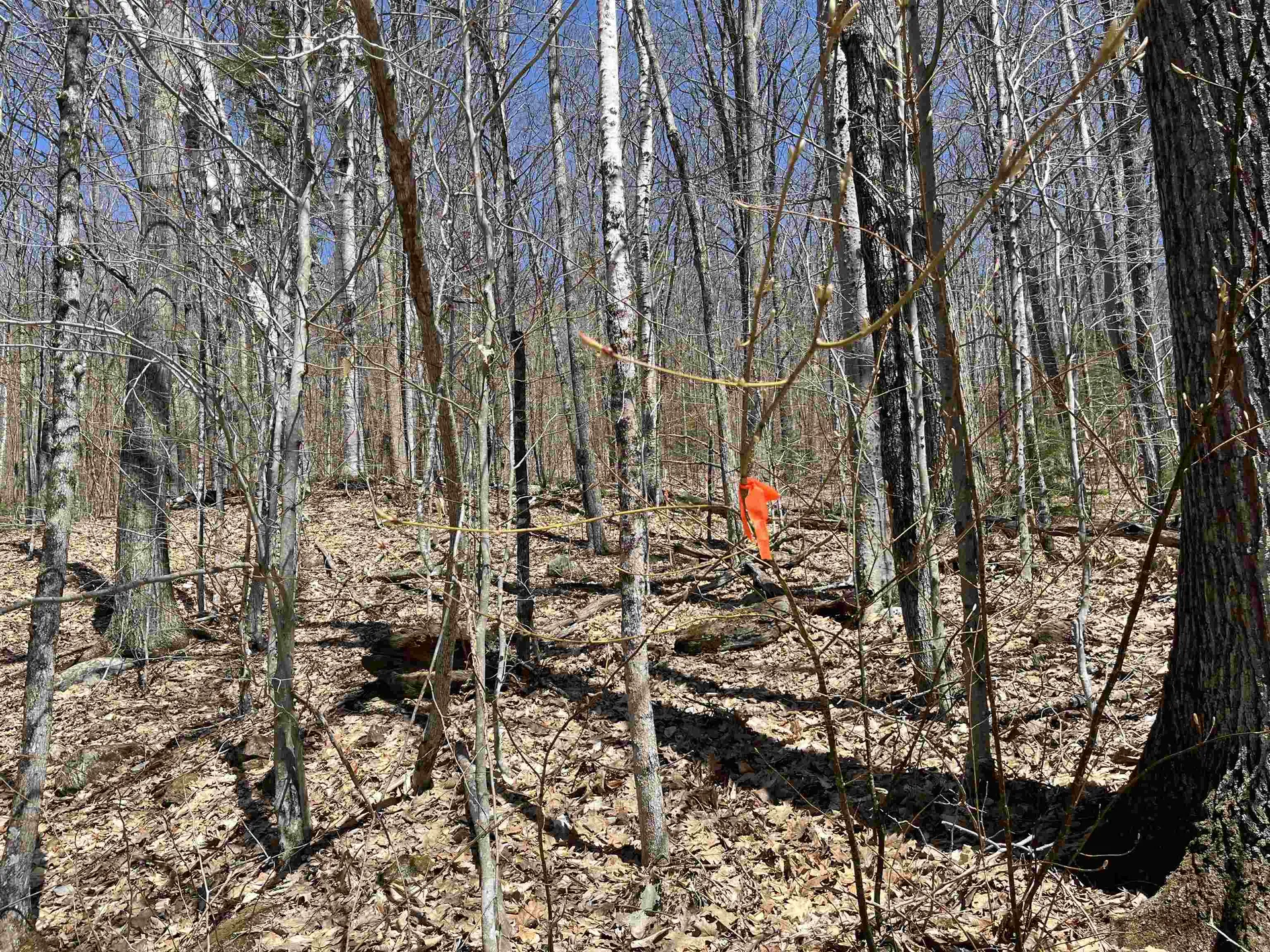 H16 Tobey Road Campton NH 03223